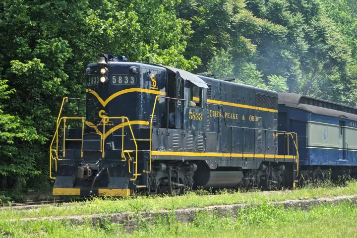 a train that is sitting in the grass