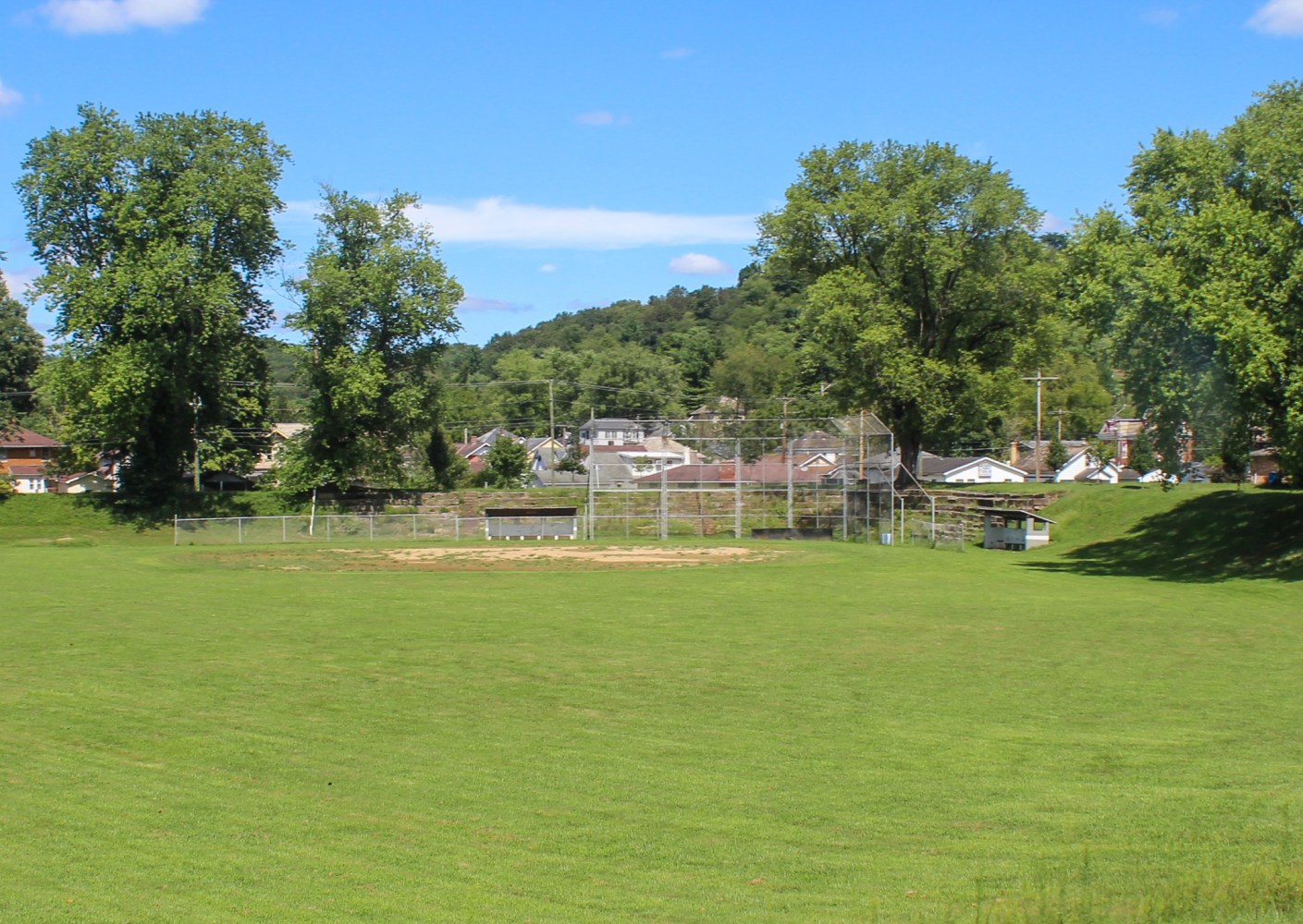 a large green field with trees in the background