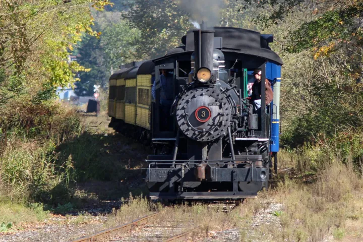 Steam train on narrow track surrounded by trees, smoke billowing from chimney.