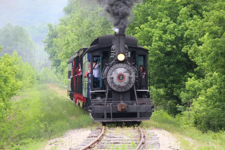 Steam locomotive on tracks surrounded by lush greenery.
