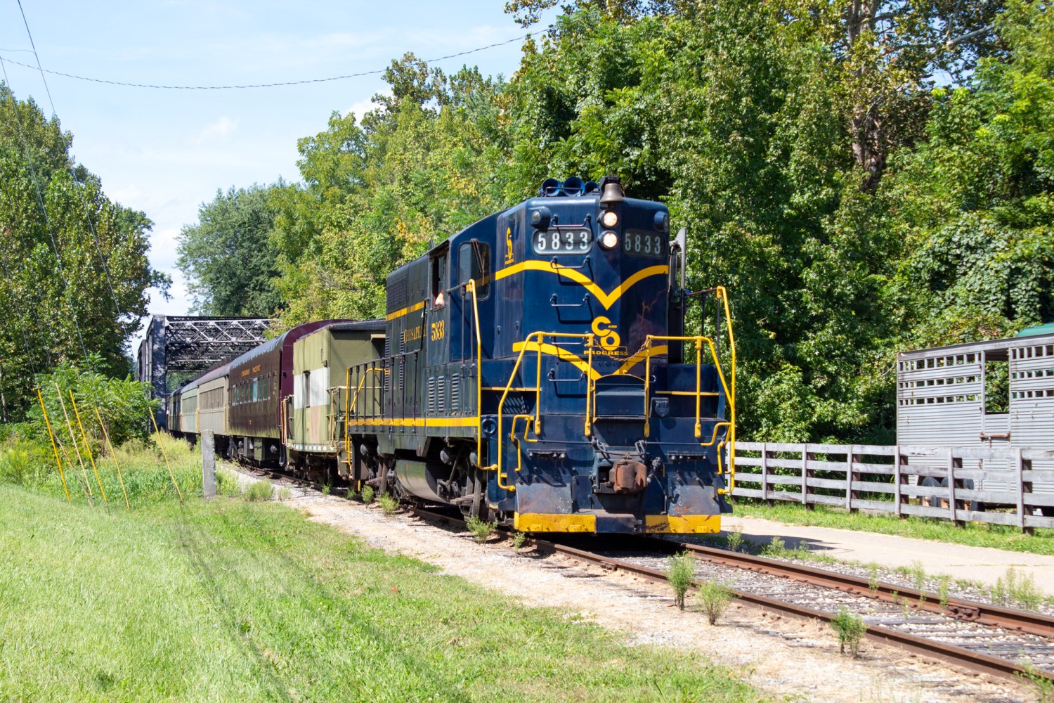 Blue and yellow train on rural track with trees and bridge in background.